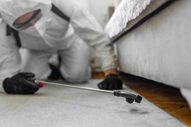 Professional Ant Control technician working in Pulaski County County, GA